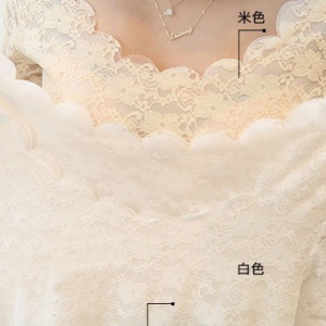 Long sleeves Round Neck Lace Blouse