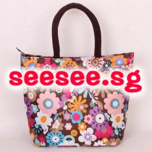Colourful lunch bag / mini handbag NO.5