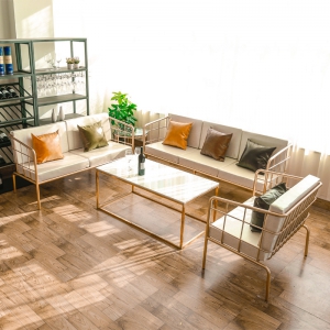 预售-北欧现代简约网红铁艺沙发单双人客厅办公接待室个性简易茶几组合
