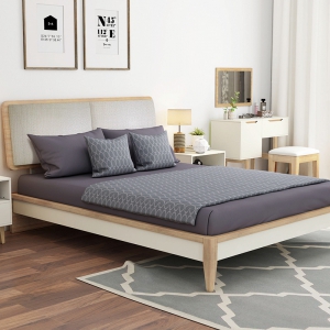 预售-北欧双人床 现代简约卧室大床1.5m 1.8米小户型主卧床单人床
