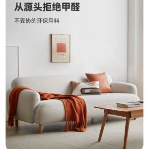 【A.SG】北欧布艺沙发小户型客厅轻奢家具现代家用免洗科技布三人沙发