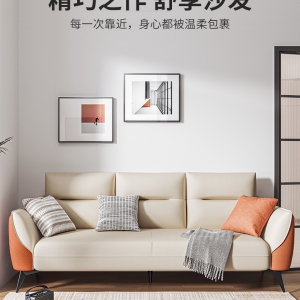 预售-布艺沙发科技布沙发小户型意式客厅现代简约