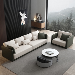 预售-北欧科技布沙发轻奢小户型简约现代客厅组合